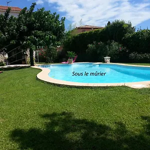 Sous Le Mûrier Couette-café Six-Fours-les-Plages